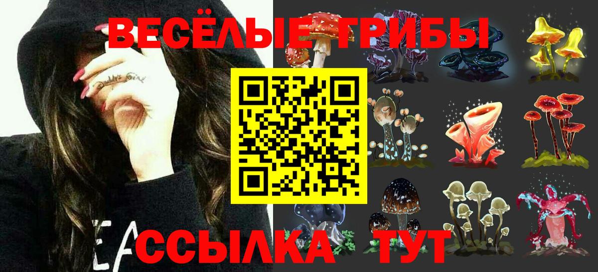 Галлюциногенные грибы MAGIC MUSHROOMS Котельники